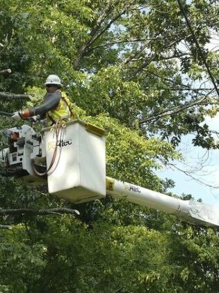 JCP&L’s $34 Million Tree-Trimming Initiative Aims to Reduce Impact of Outages JCP&L's $34 Million Tree-Trimming Initiative Aims to Reduce Impact of Outages