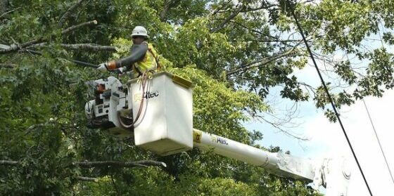 JCP&L's $34 Million Tree-Trimming Initiative Aims to Reduce Impact of Outages