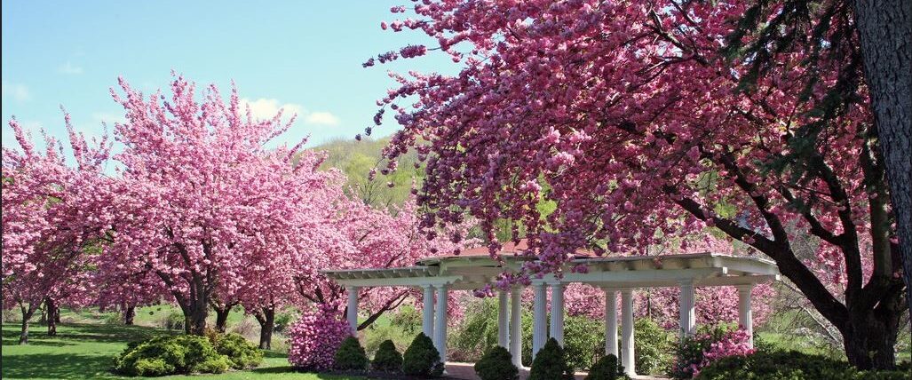 Explore Dover, New Jersey: A Morris County Hub