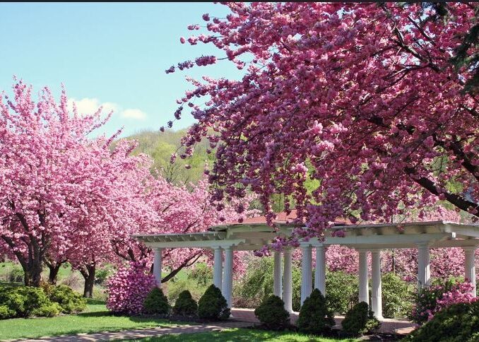 Explore Dover, New Jersey: A Morris County Hub