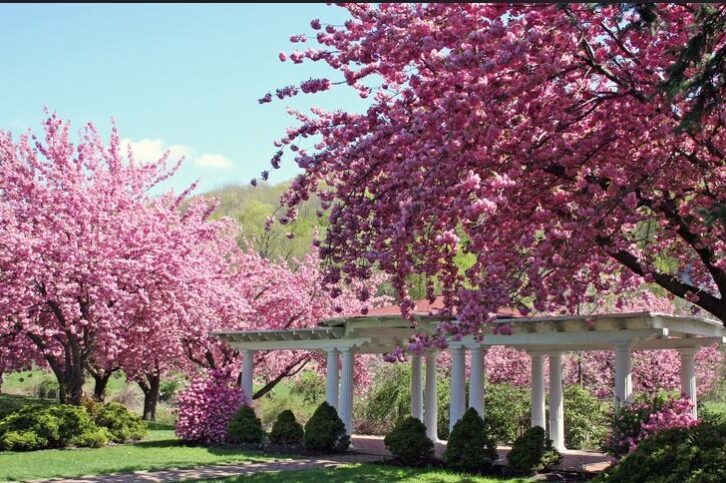 Explore Dover, New Jersey: A Morris County Hub