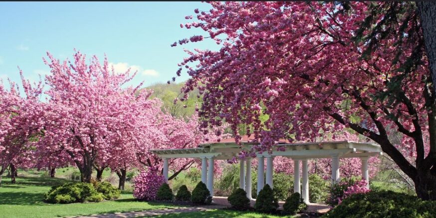 Explore Dover, New Jersey: A Morris County Hub