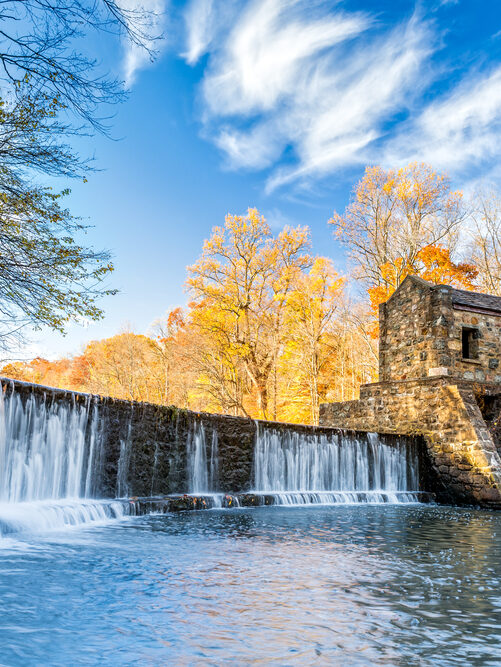 shutterstock_510971800 grant FM Kirby Foundation