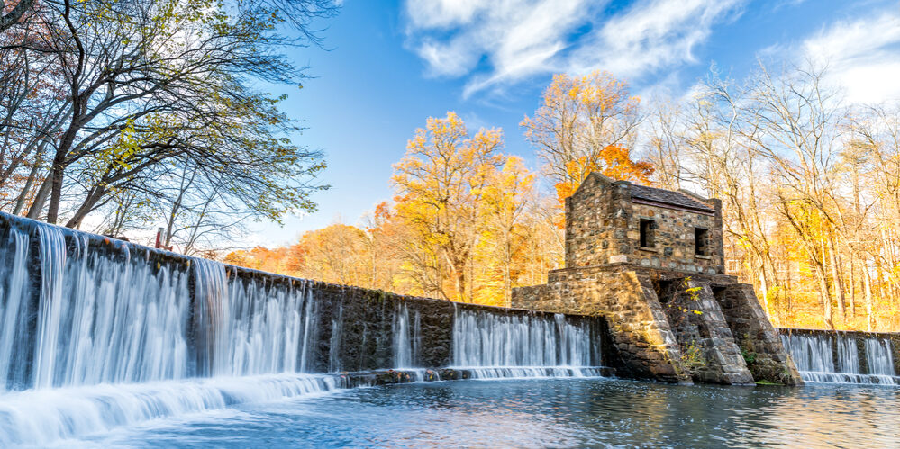 grant FM Kirby Foundation