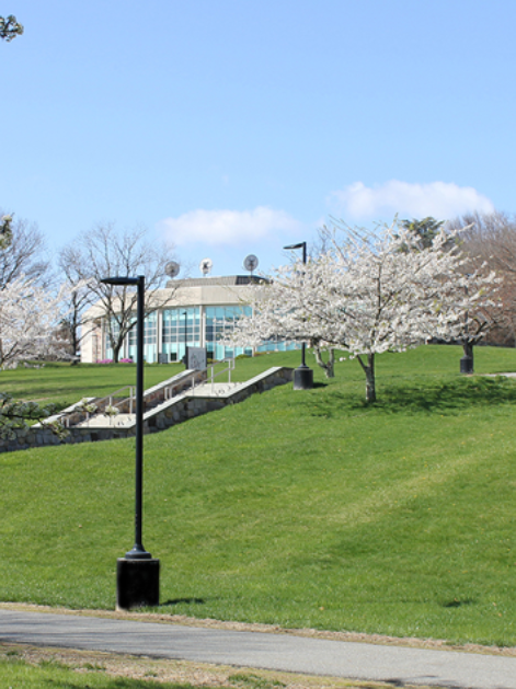 CCM Secures College Readiness Now Grant For Tenth Consecutive Year CCM Secures College Readiness Now Grant For Tenth Consecutive Year