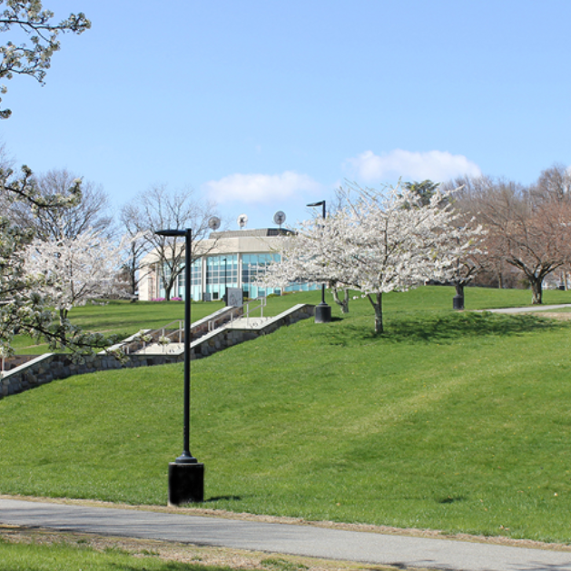 CCM Secures College Readiness Now Grant For Tenth Consecutive Year CCM Secures College Readiness Now Grant For Tenth Consecutive Year