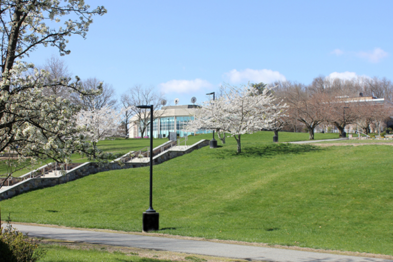 CCM Secures College Readiness Now Grant For Tenth Consecutive Year CCM Secures College Readiness Now Grant For Tenth Consecutive Year