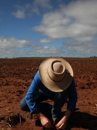 How food companies can accelerate the regenerative agriculture transition How food companies can accelerate the regenerative agriculture transition