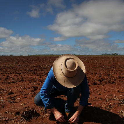 How food companies can accelerate the regenerative agriculture transition How food companies can accelerate the regenerative agriculture transition
