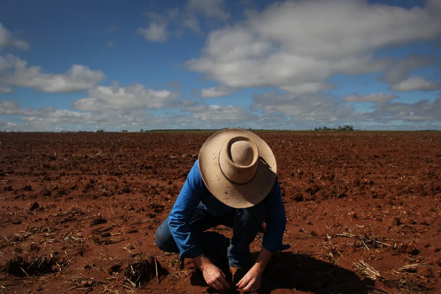 How food companies can accelerate the regenerative agriculture transition How food companies can accelerate the regenerative agriculture transition