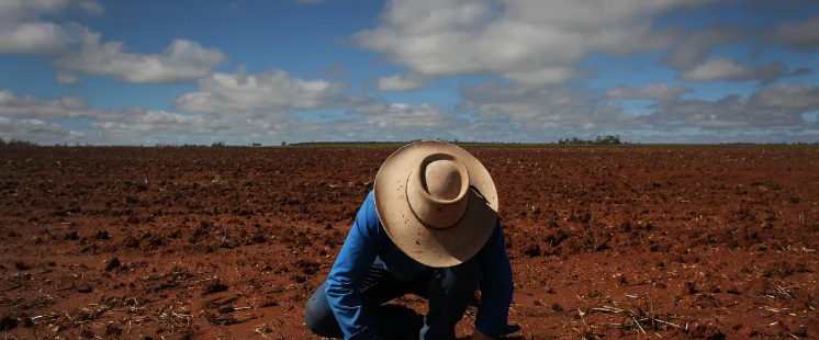 How food companies can accelerate the regenerative agriculture transition