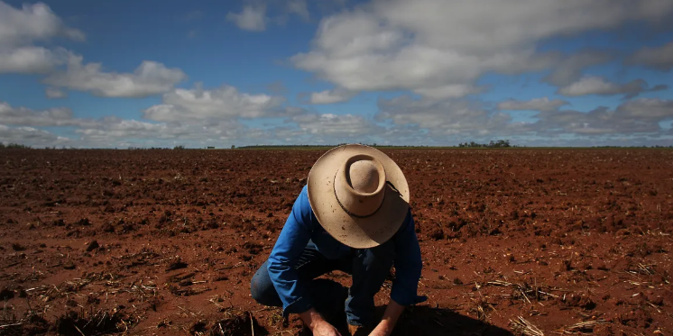 How food companies can accelerate the regenerative agriculture transition How food companies can accelerate the regenerative agriculture transition