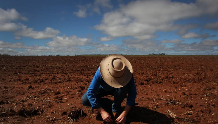 How food companies can accelerate the regenerative agriculture transition How food companies can accelerate the regenerative agriculture transition