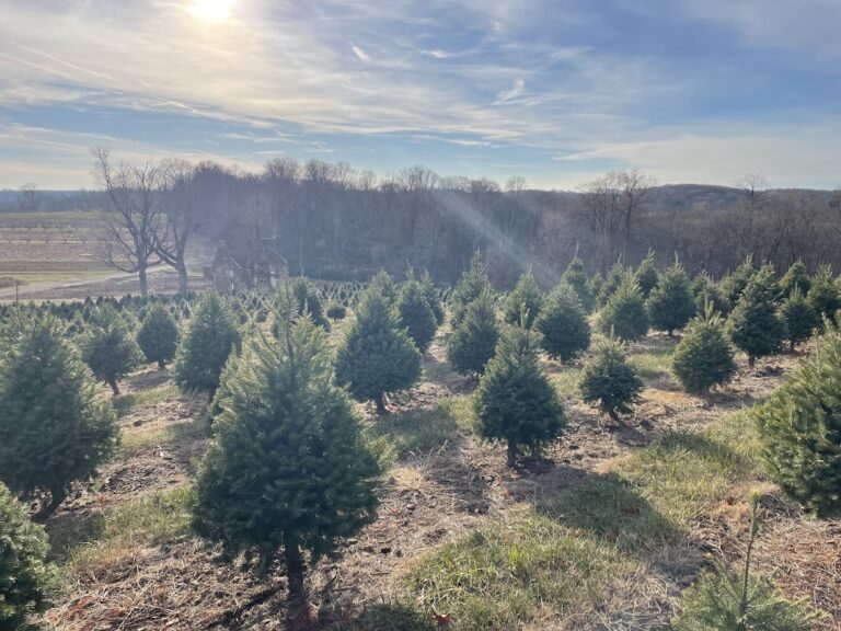 Alstede Farms Welcomes December Alstede Farms Welcomes December