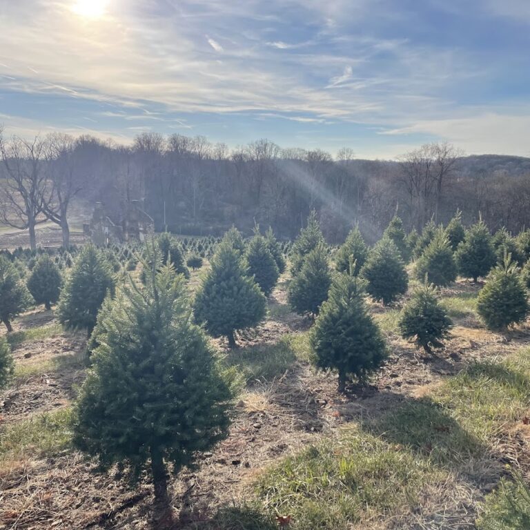 Alstede Farms Welcomes December Alstede Farms Welcomes December