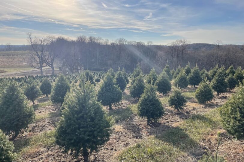 Alstede Farms Welcomes December