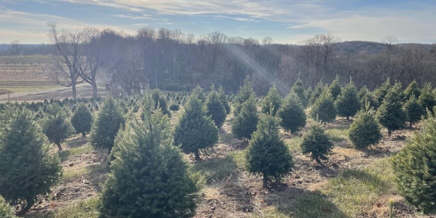 Alstede Farms Welcomes December