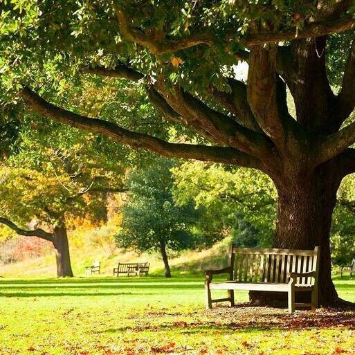 National Park Service Seeks Public Input on Proposed Hiking Trail National Park Service Seeks Public Input on Proposed Hiking Trail