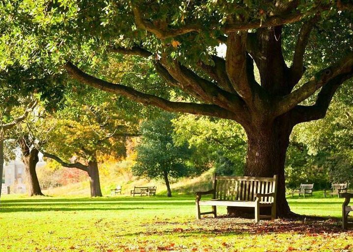 National Park Service Seeks Public Input on Proposed Hiking Trail