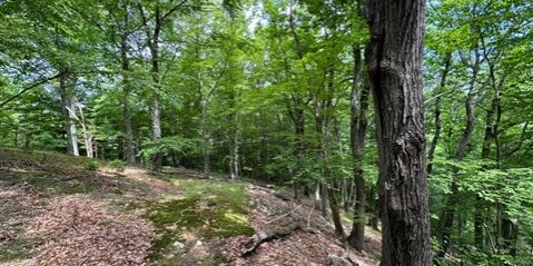 Scenic 11-Acre Parcel Along Raritan River Permanently Protected