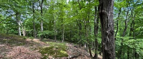 Scenic 11-Acre Parcel Along Raritan River Permanently Protected