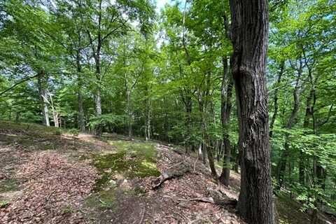 Scenic 11-Acre Parcel Along Raritan River Permanently Protected