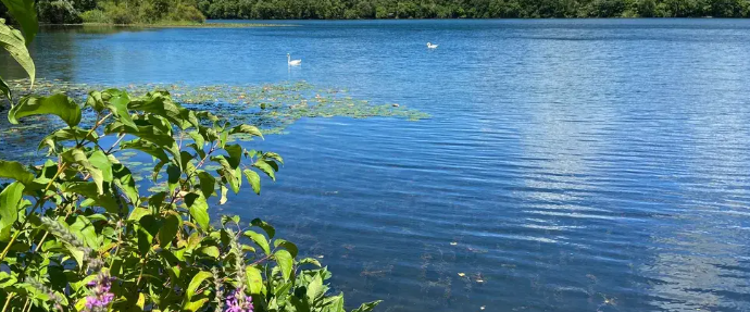 The Official Opening of the Pompton Valley Rail Trail is Scheduled for May 29th, 2025