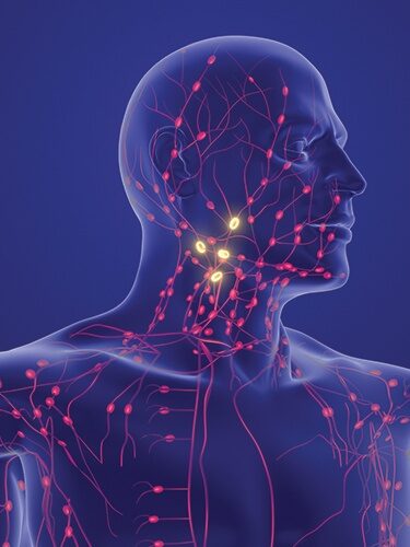 Talking Tech – Insights Shaping Today’s World Talking Tech - Insights Shaping Today's World