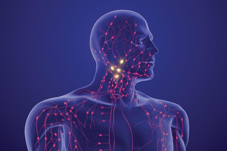 Talking Tech - Insights Shaping Today's World