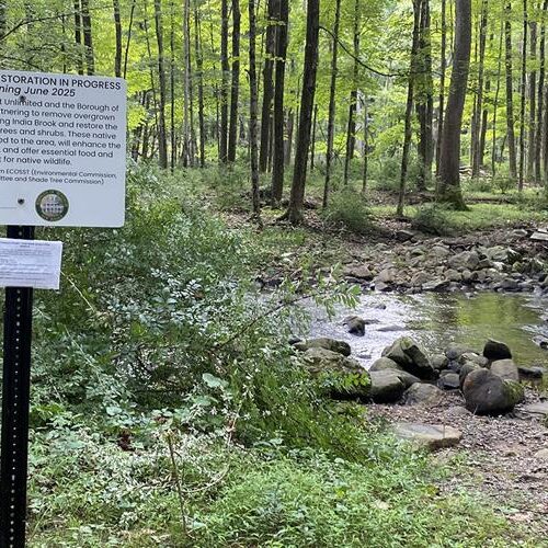 Help Beautify Mendham Brook As Restoration Project Wraps Up Help Beautify Mendham Brook As Restoration Project Wraps Up
