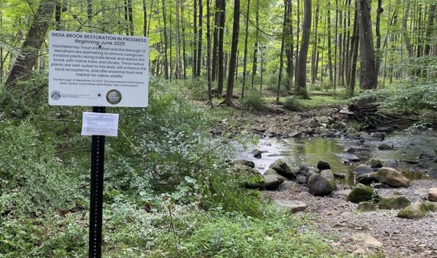 Help Beautify Mendham Brook As Restoration Project Wraps Up