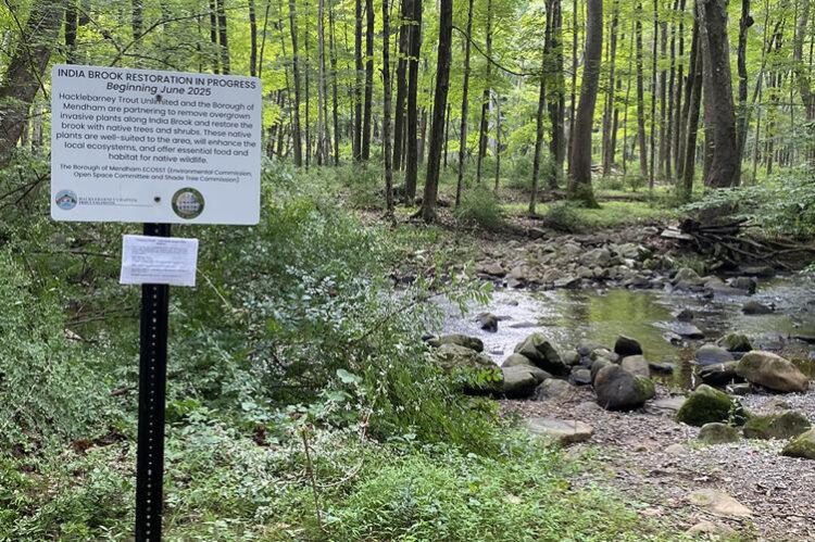 Help Beautify Mendham Brook As Restoration Project Wraps Up