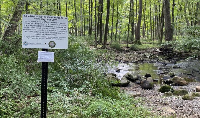 Help Beautify Mendham Brook As Restoration Project Wraps Up Help Beautify Mendham Brook As Restoration Project Wraps Up