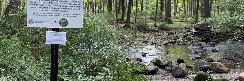 Help Beautify Mendham Brook As Restoration Project Wraps Up