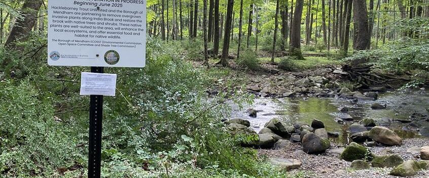 Help Beautify Mendham Brook As Restoration Project Wraps Up