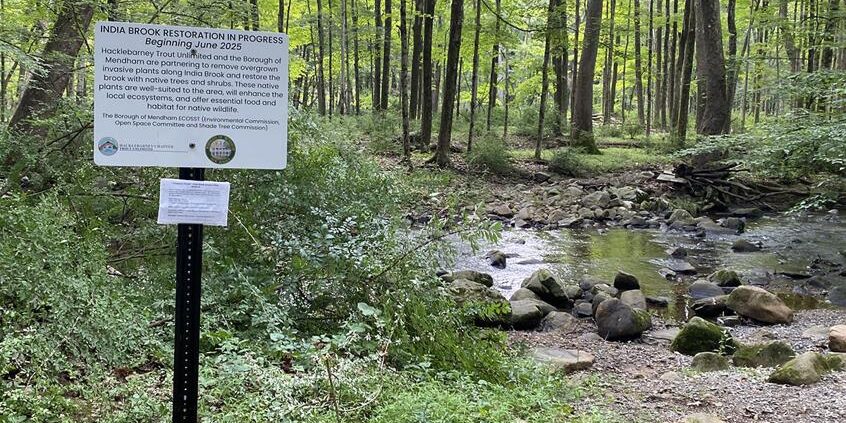 Help Beautify Mendham Brook As Restoration Project Wraps Up