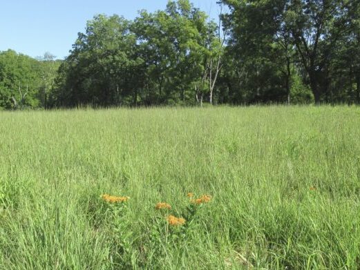 Morris County’s 2025 Open Space Recommendations