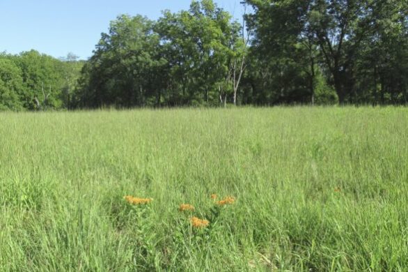 Morris County’s 2025 Open Space Recommendations