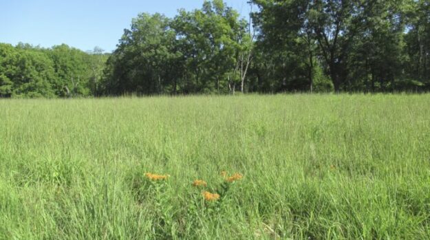 Morris County’s 2025 Open Space Recommendations