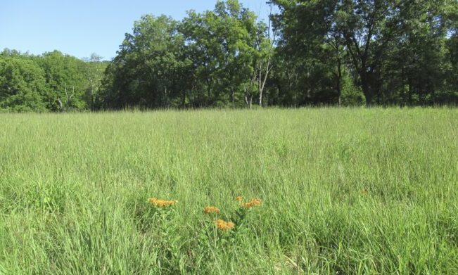 Morris County’s 2025 Open Space Recommendations