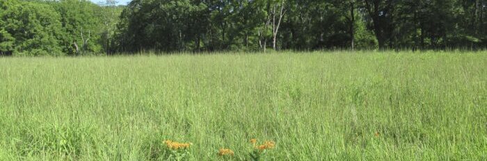 Morris County’s 2025 Open Space Recommendations Morris County’s 2025 Open Space Recommendations