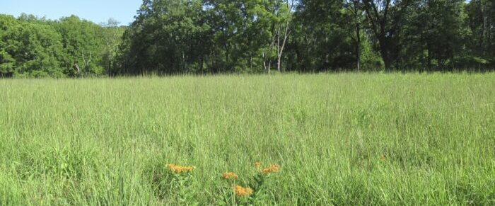 Morris County’s 2025 Open Space Recommendations