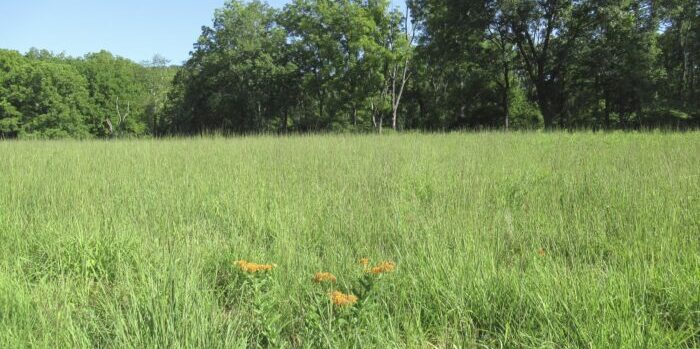 Morris County’s 2025 Open Space Recommendations