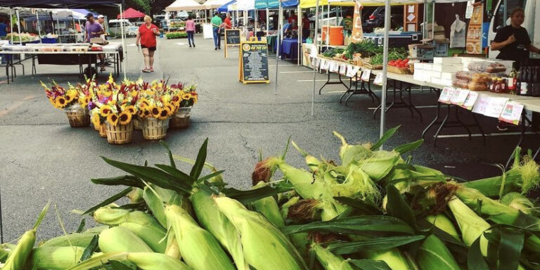 Chatham Borough Farmers’ Market is Now Open on Saturdays with Newcomers Chatham Borough Farmers' Market is Now Open on Saturdays with Newcomers