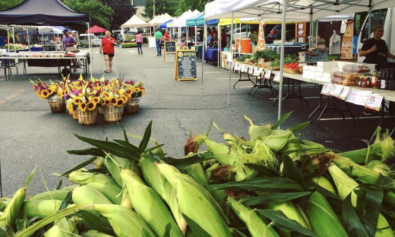 Chatham Borough Farmers’ Market is Now Open on Saturdays with Newcomers Chatham Borough Farmers' Market is Now Open on Saturdays with Newcomers