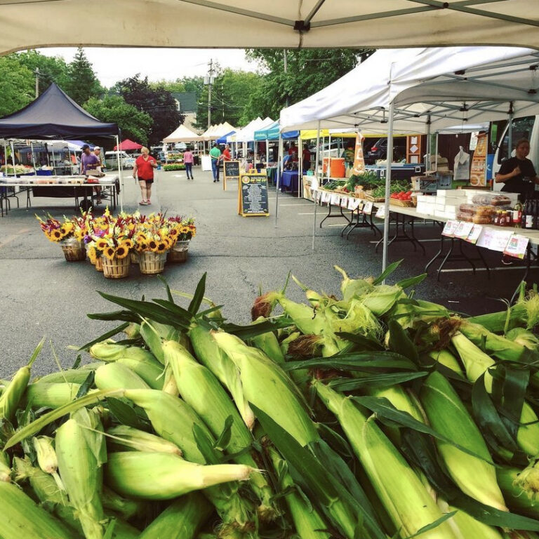 Chatham Borough Farmers' Market is Now Open on Saturdays with Newcomers