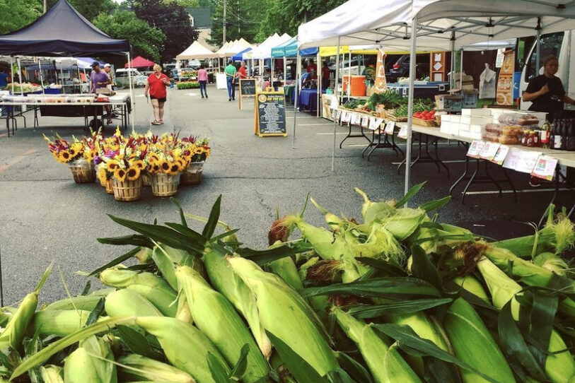 Chatham Borough Farmers' Market is Now Open on Saturdays with Newcomers