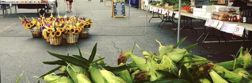 Chatham Borough Farmers' Market is Now Open on Saturdays with Newcomers