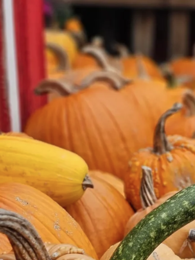 Morris County in September 2026: Festivals, Oktoberfests, and Fall Fun