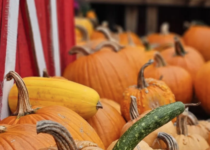 Morris County in September 2026: Festivals, Oktoberfests, and Fall Fun